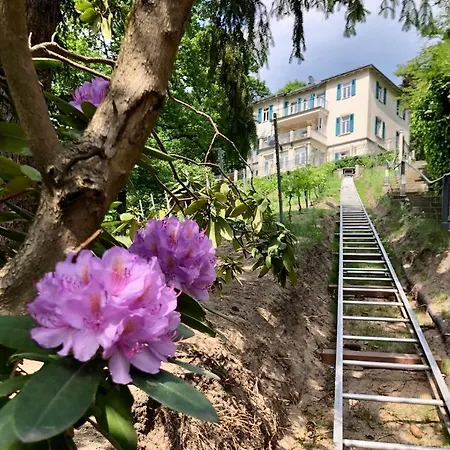 Appartement Wundervolle Im Elbhang Von Loschwitz