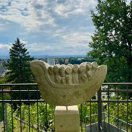 Wundervolle Im Elbhang Von Loschwitz Drážďany