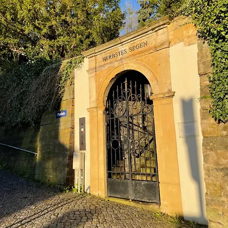 Wundervolle Im Elbhang Von Loschwitz Apartmán *