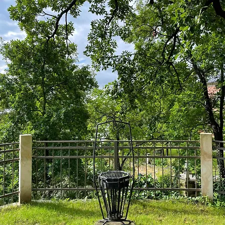 Wundervolle Im Elbhang Von Loschwitz Appartement