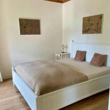 Wundervolle Im Elbhang Von Loschwitz Apartmán