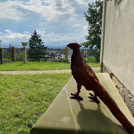 Wundervolle Im Elbhang Von Loschwitz *