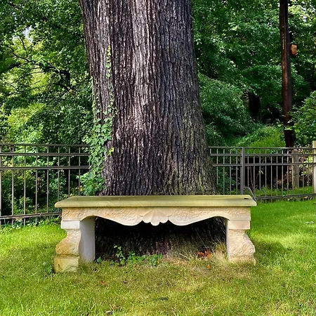 Wundervolle Im Elbhang Von Loschwitz * Dresden