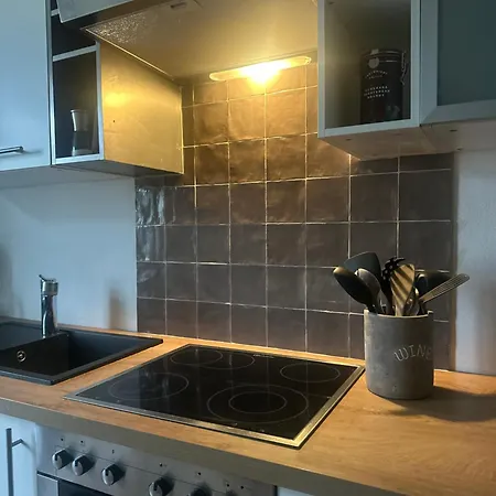 Wundervolle Im Elbhang Von Loschwitz Apartmán Drážďany