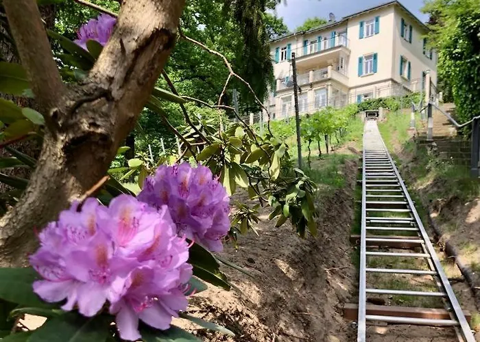 Apartman Wundervolle Im Elbhang Von Loschwitz