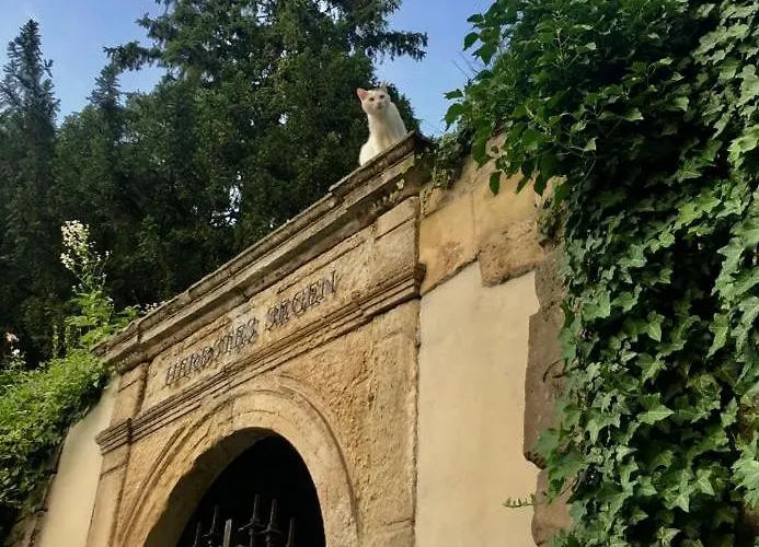 Apartman Wundervolle Im Elbhang Von Loschwitz *
