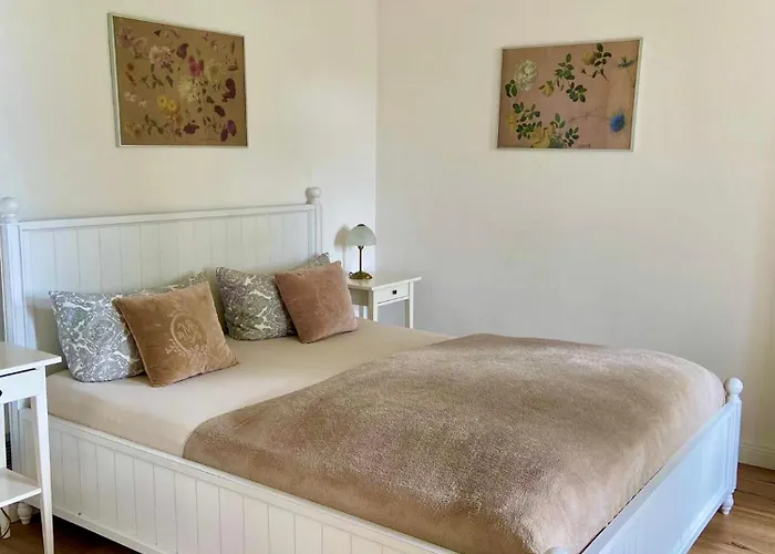 Wundervolle Im Elbhang Von Loschwitz Apartman