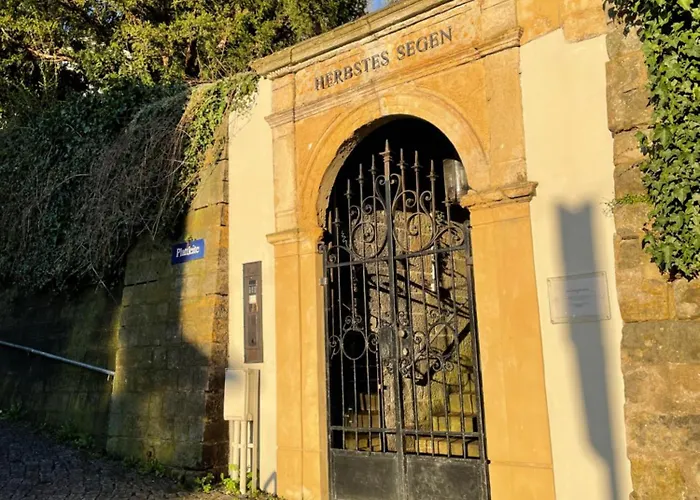 Wundervolle Im Elbhang Von Loschwitz Apartman *