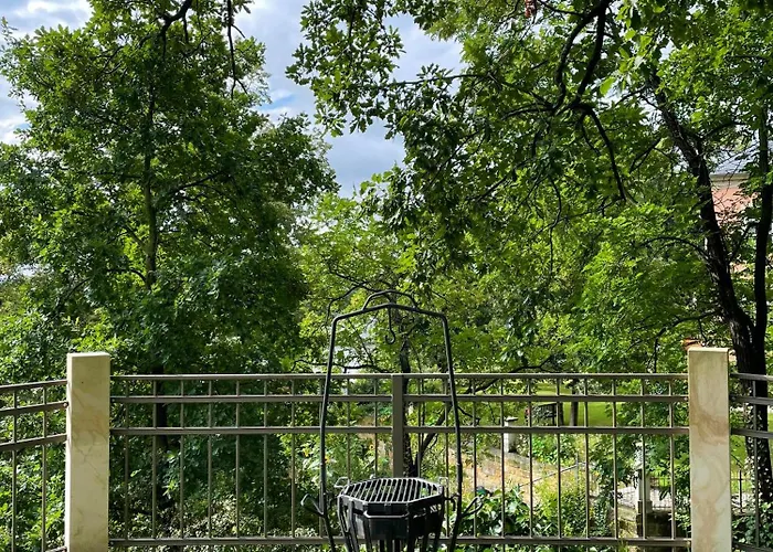 Wundervolle Im Elbhang Von Loschwitz Apartman