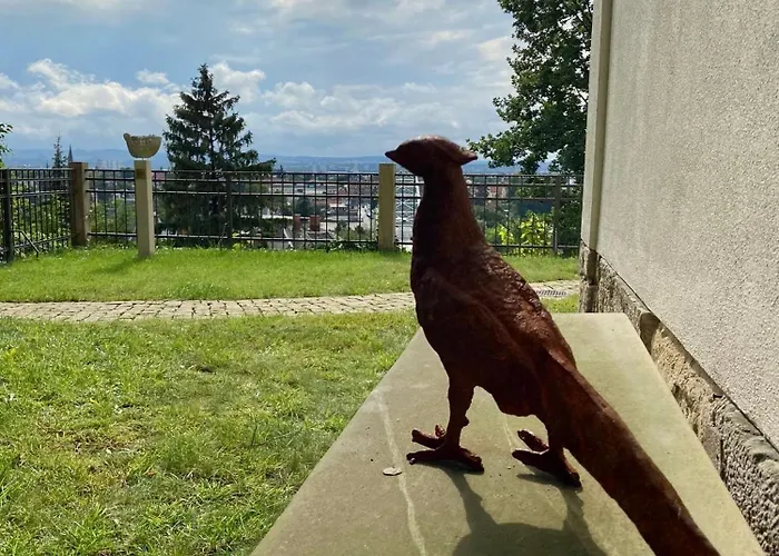 Wundervolle Im Elbhang Von Loschwitz *