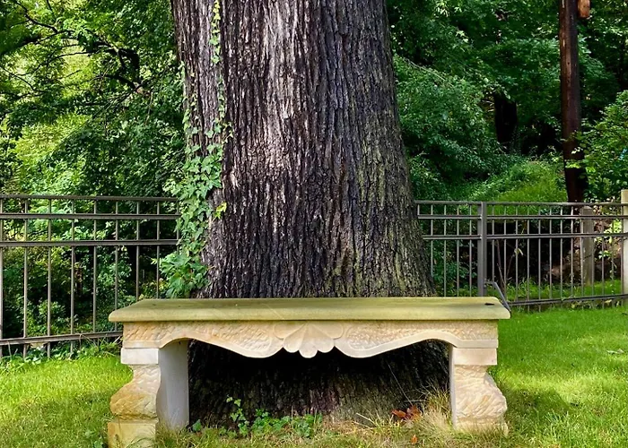 Wundervolle Im Elbhang Von Loschwitz * Drezda